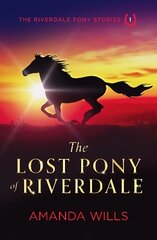 Lost Pony of Riverdale 2nd Revised edition cena un informācija | Grāmatas pusaudžiem un jauniešiem | 220.lv