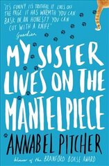 My Sister Lives on the Mantelpiece cena un informācija | Grāmatas pusaudžiem un jauniešiem | 220.lv