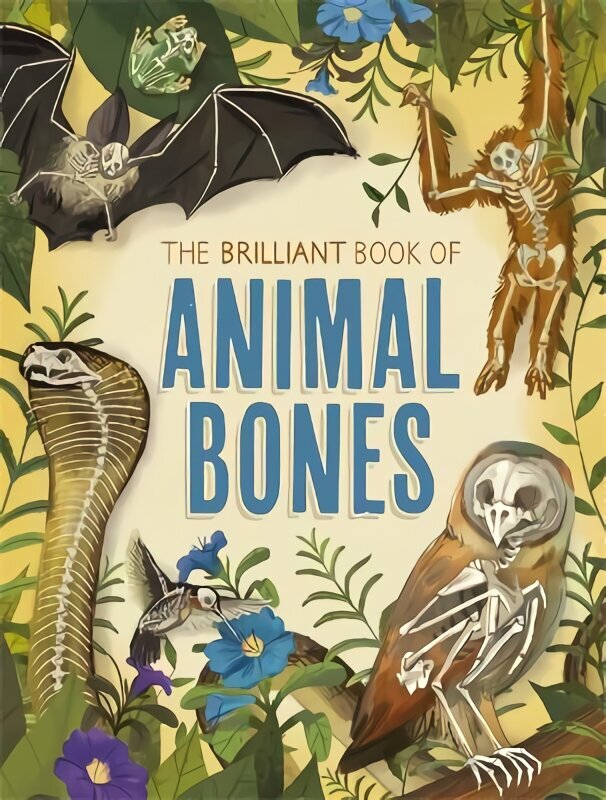 Brilliant Book of Animal Bones cena un informācija | Grāmatas pusaudžiem un jauniešiem | 220.lv