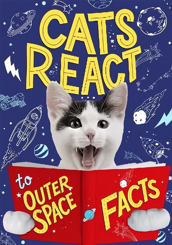 Cats React to Outer Space Facts цена и информация | Grāmatas pusaudžiem un jauniešiem | 220.lv
