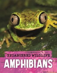 Endangered Wildlife: Rescuing Amphibians cena un informācija | Grāmatas pusaudžiem un jauniešiem | 220.lv