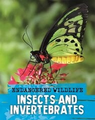 Endangered Wildlife: Rescuing Insects and Invertebrates cena un informācija | Grāmatas pusaudžiem un jauniešiem | 220.lv