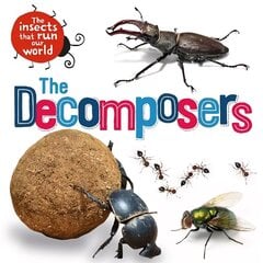 Insects that Run Our World: The Decomposers cena un informācija | Grāmatas pusaudžiem un jauniešiem | 220.lv