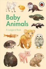 Ladybird Book: Baby Animals цена и информация | Книги для подростков и молодежи | 220.lv