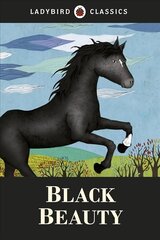 Ladybird Classics: Black Beauty cena un informācija | Grāmatas pusaudžiem un jauniešiem | 220.lv