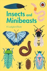 Ladybird Book: Insects and Minibeasts цена и информация | Книги для подростков и молодежи | 220.lv