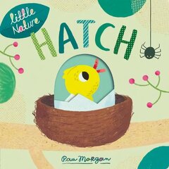 Hatch цена и информация | Книги для подростков и молодежи | 220.lv