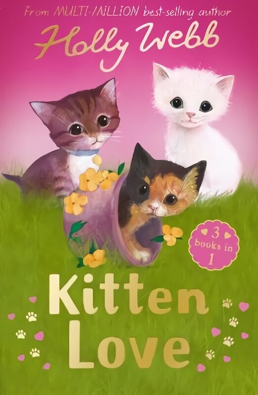 Kitten Love: A Collection of Stories: Lost in the Storm, The Curious Kitten and The Homeless Kitten цена и информация | Grāmatas pusaudžiem un jauniešiem | 220.lv