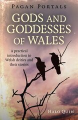 Pagan Portals - Gods and Goddesses of Wales: A practical introduction to Welsh deities and their stories цена и информация | Путеводители, путешествия | 220.lv