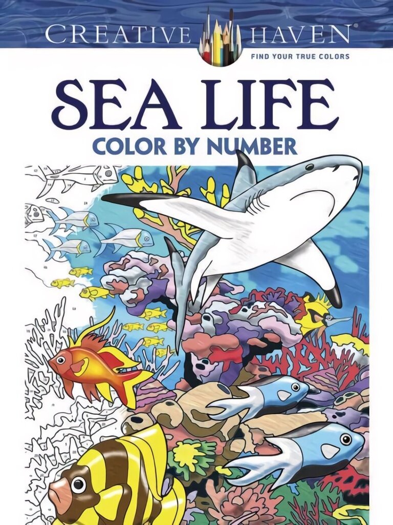 Creative Haven Sea Life Color by Number Coloring Book цена и информация | Grāmatas mazuļiem | 220.lv