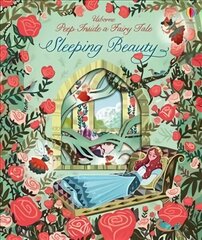 Peep Inside a Fairy Tale Sleeping Beauty цена и информация | Книги для малышей | 220.lv