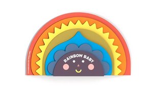 Rainbow Baby цена и информация | Книги для малышей | 220.lv