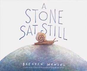 Stone Sat Still: (Environmental and Nature Picture Book for Kids, Perspective Book for Preschool and Kindergarten, Award Winning Illustrator) цена и информация | Книги для малышей | 220.lv