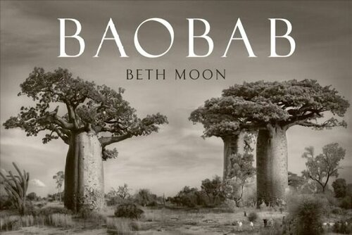 Baobab цена и информация | Книги по фотографии | 220.lv