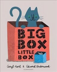 Big Box Little Box цена и информация | Книги для самых маленьких | 220.lv