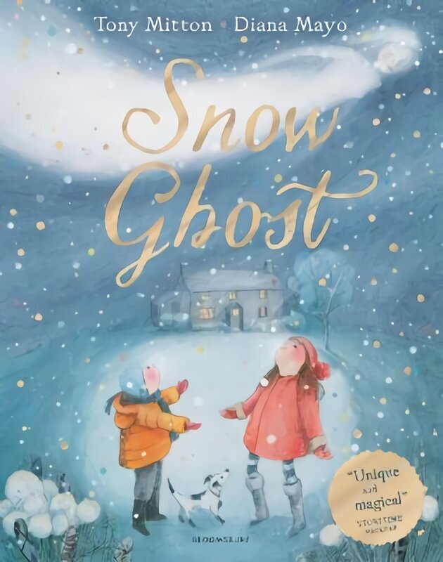 Snow Ghost: The Most Heartwarming Picture Book of the Year cena un informācija | Grāmatas mazuļiem | 220.lv