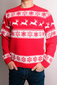 Ziemassvētku džemperis vīriešiem R757 цена и информация | Vīriešu džemperi | 220.lv