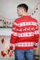 Ziemassvētku džemperis vīriešiem R757 cena un informācija | Vīriešu džemperi | 220.lv