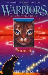 SUNSET, Book 6 цена и информация | Книги для подростков и молодежи | 220.lv