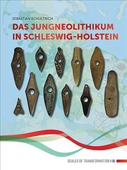 Das Jungneolithikum in Schleswig-Holstein цена и информация | Исторические книги | 220.lv