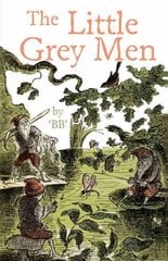 Little Grey Men Reissue цена и информация | Книги для подростков и молодежи | 220.lv