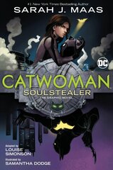 Catwoman: Soulstealer: The Graphic Novel цена и информация | Книги для подростков и молодежи | 220.lv