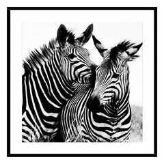 Glezna Zebra, stikla, (2 x 50 x 50 cm) cena un informācija | Gleznas | 220.lv