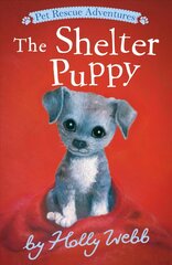 Shelter Puppy цена и информация | Книги для подростков и молодежи | 220.lv