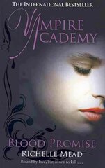 Vampire Academy: Blood Promise (book 4) цена и информация | Книги для подростков и молодежи | 220.lv