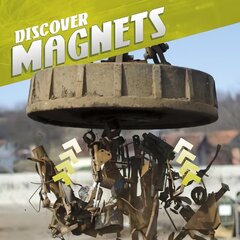 Discover Magnets cena un informācija | Grāmatas pusaudžiem un jauniešiem | 220.lv