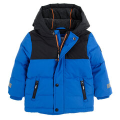 Cool Club куртка для мальчиков, COB2501774 цена и информация | Зимняя одежда для детей | 220.lv