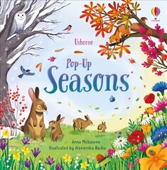 Pop-Up Seasons cena un informācija | Grāmatas mazuļiem | 220.lv