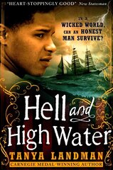 Hell and High Water цена и информация | Книги для подростков и молодежи | 220.lv