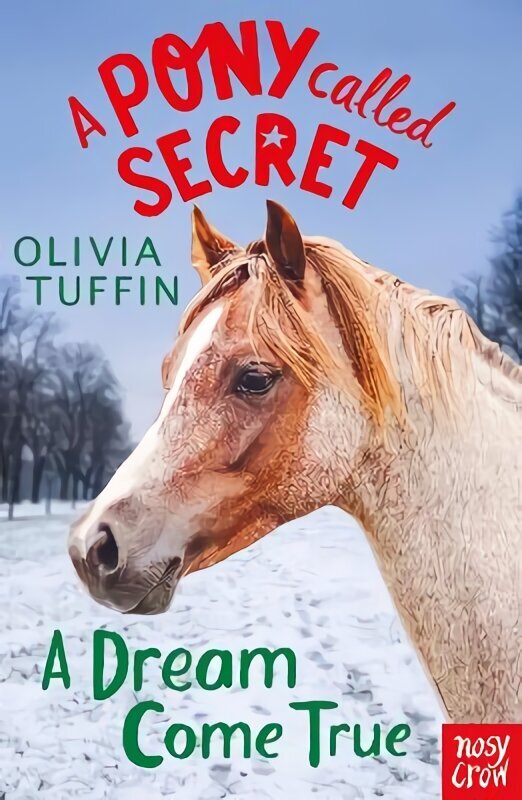 Pony Called Secret: A Dream Come True цена и информация | Grāmatas pusaudžiem un jauniešiem | 220.lv