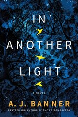 In Another Light: A Novel цена и информация | Фантастика, фэнтези | 220.lv
