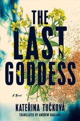 Last Goddess: A Novel цена и информация | Фантастика, фэнтези | 220.lv