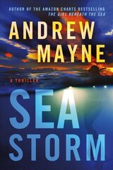 Sea Storm: A Thriller cena un informācija | Fantāzija, fantastikas grāmatas | 220.lv