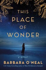 This Place of Wonder: A Novel цена и информация | Фантастика, фэнтези | 220.lv