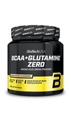 Biotech BCAA + Glutamine Zero 480 g, persiku garša цена и информация | Аминокислоты | 220.lv