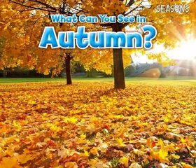 What Can You See In Autumn? цена и информация | Книги для самых маленьких | 220.lv