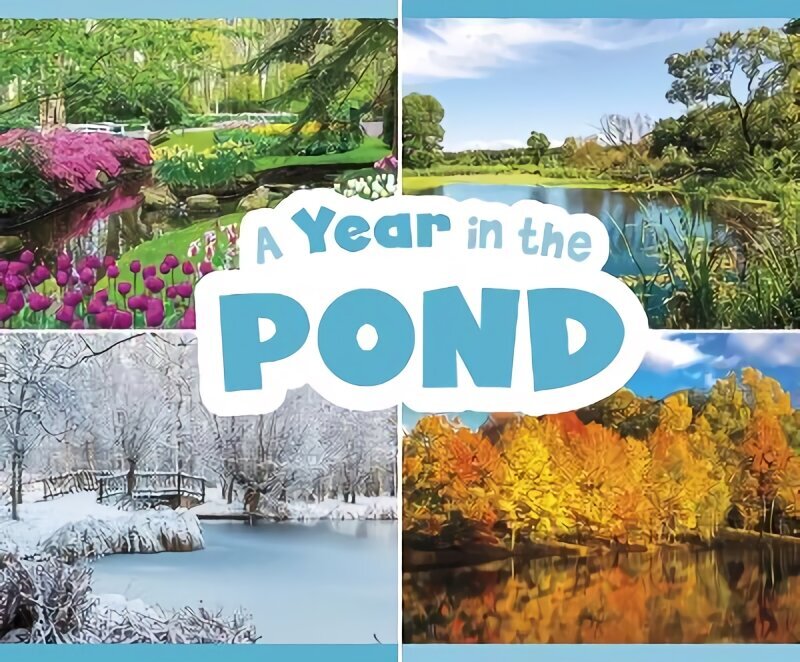 Year in the Pond cena un informācija | Grāmatas mazuļiem | 220.lv