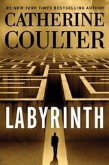 Labyrinth, 23 цена и информация | Фантастика, фэнтези | 220.lv