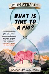 What Is Time To A Pig? cena un informācija | Fantāzija, fantastikas grāmatas | 220.lv