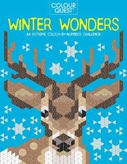 Colour Quest (R): Winter Wonders: An Extreme Colour by Numbers Challenge цена и информация | Книги для малышей | 220.lv