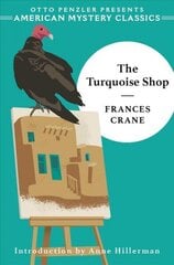 Turquoise Shop цена и информация | Фантастика, фэнтези | 220.lv