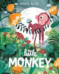 Little Monkey цена и информация | Книги для самых маленьких | 220.lv