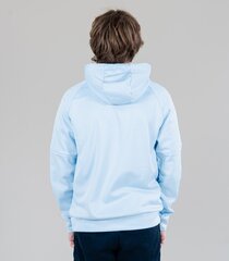 Nike vīriešu sporta džemperis, gaiši zils cena un informācija | Sporta apģērbs vīriešiem | 220.lv