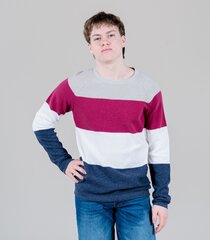 Jack & Jones vīriešu pulovers, bēšs/sarkans cena un informācija | Vīriešu džemperi | 220.lv