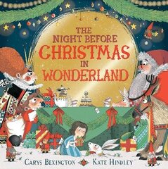 Night Before Christmas in Wonderland цена и информация | Книги для малышей | 220.lv