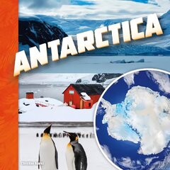 Antarctica cena un informācija | Grāmatas pusaudžiem un jauniešiem | 220.lv